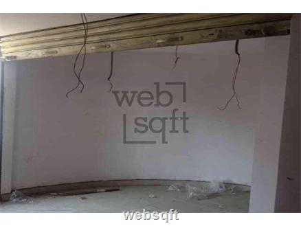 Shop-Mulgi for Sale